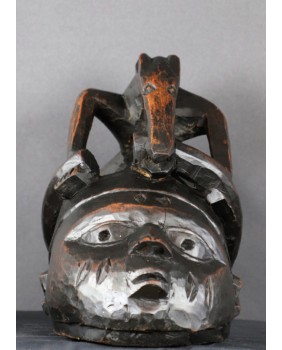 Maska z mrówkojadem....