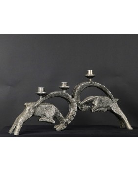 Walka koziorożców....