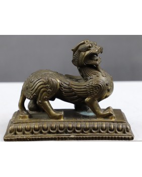 Pies Buddy. Foo. Brąz....