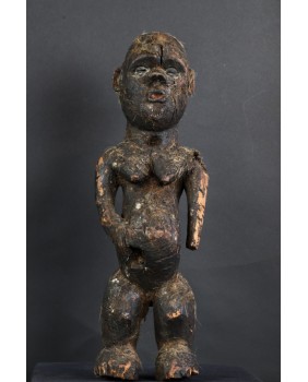 Fetysz. Drewno. Muszle...