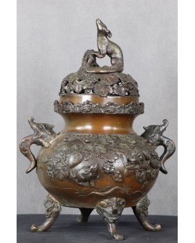 Kadzielnica z wiewiórkami i...