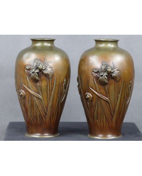 Para wazonów z irysami....