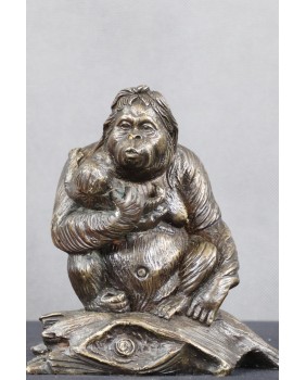 Macierzyństwo. Orangutany....